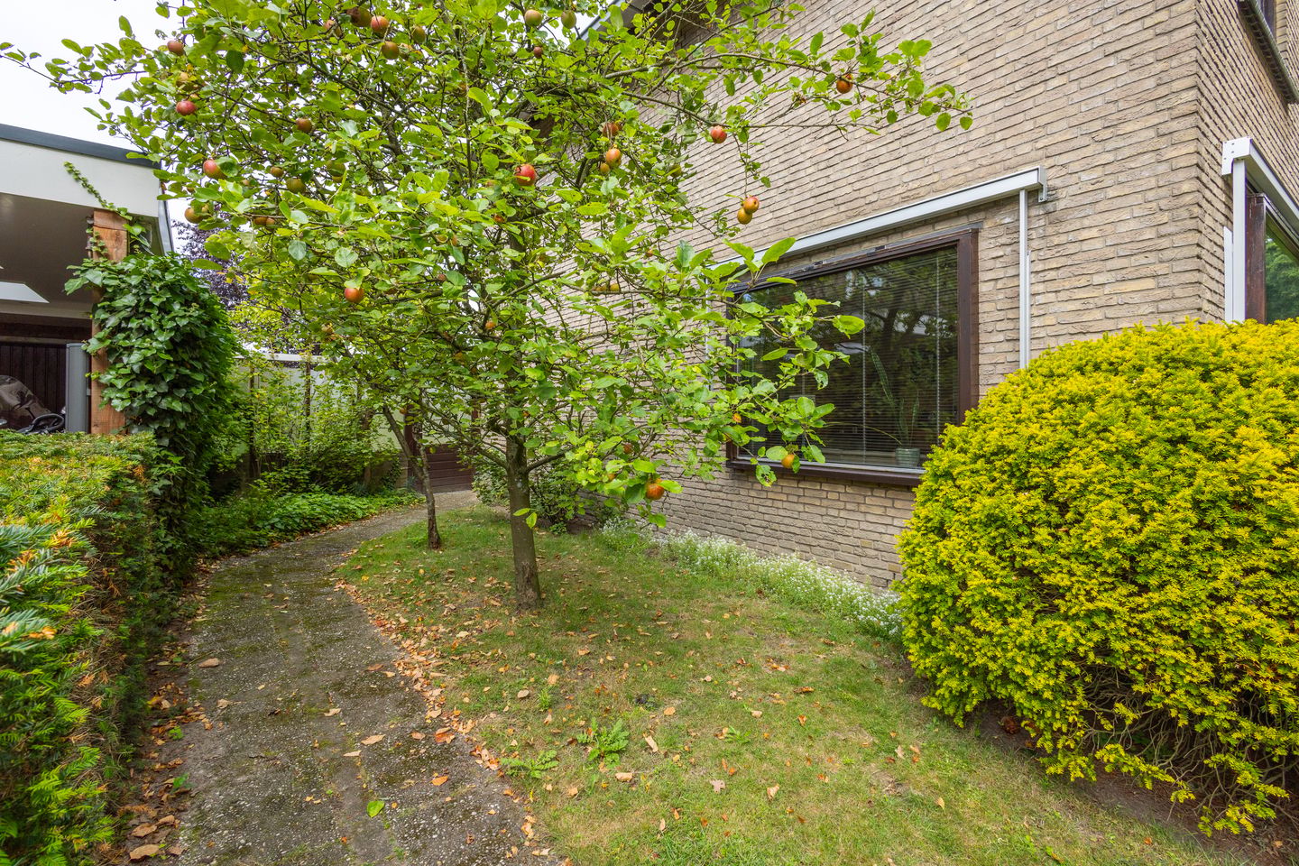 Foto 40 van Meijbreestraat 155