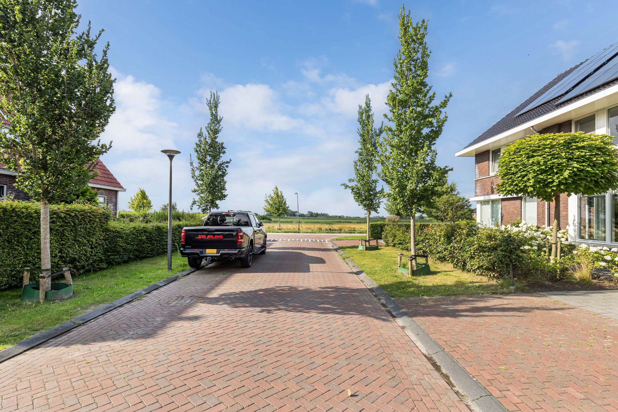 Foto 3 van Berltsumer Wiid 3