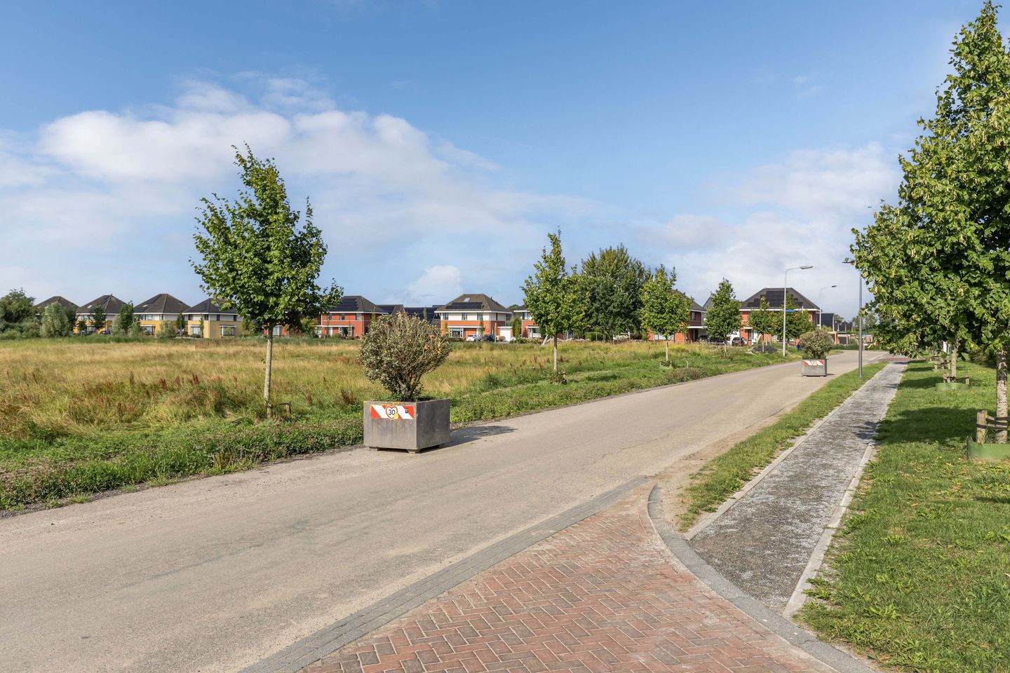 Foto 4 van Berltsumer Wiid 3