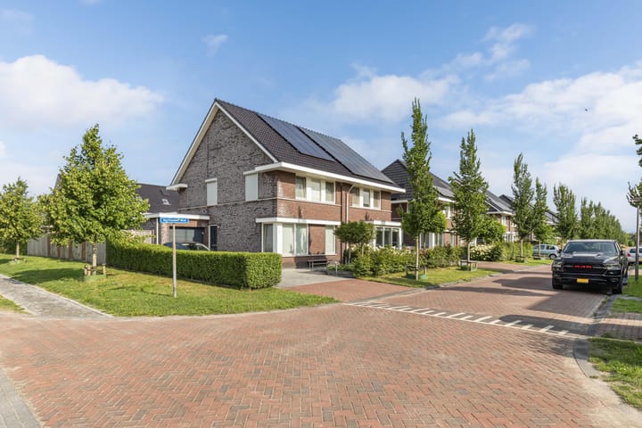 Foto 6 van Berltsumer Wiid 3