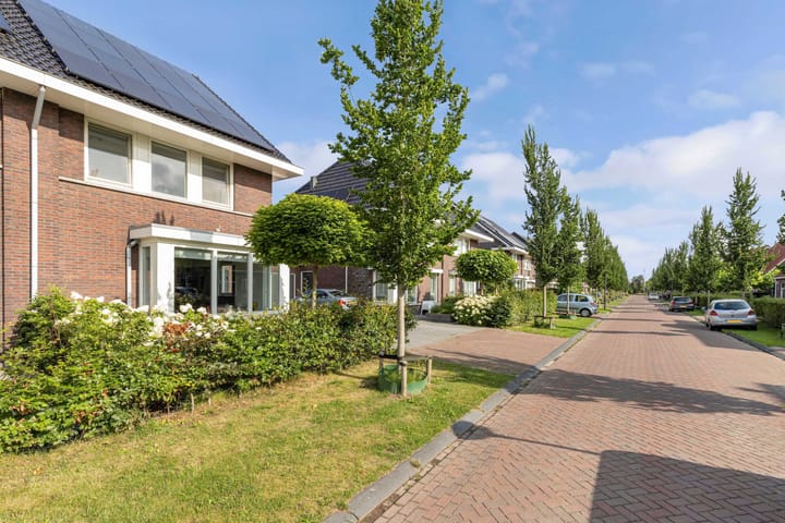 Foto 7 van Berltsumer Wiid 3