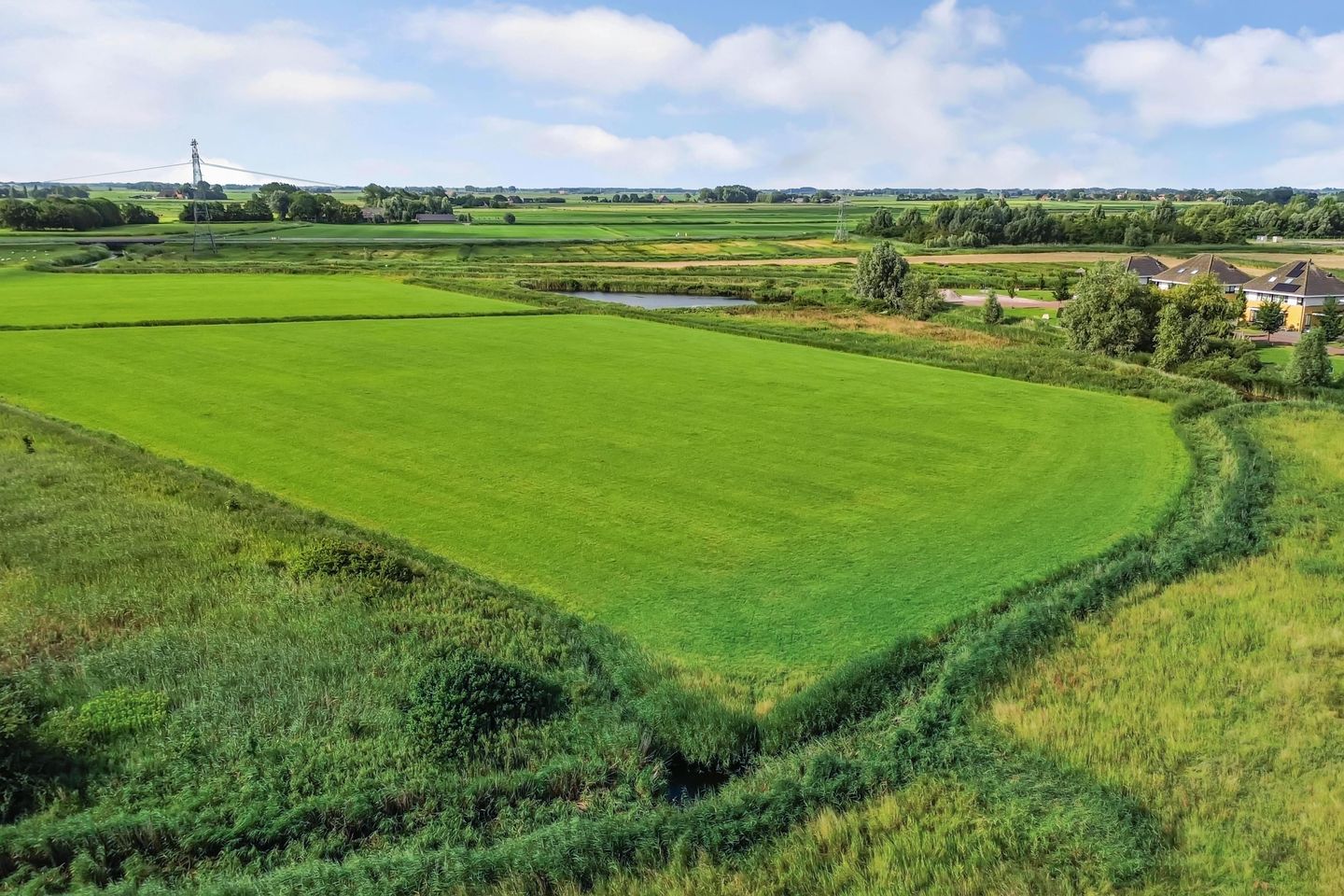 Foto 10 van Berltsumer Wiid 3