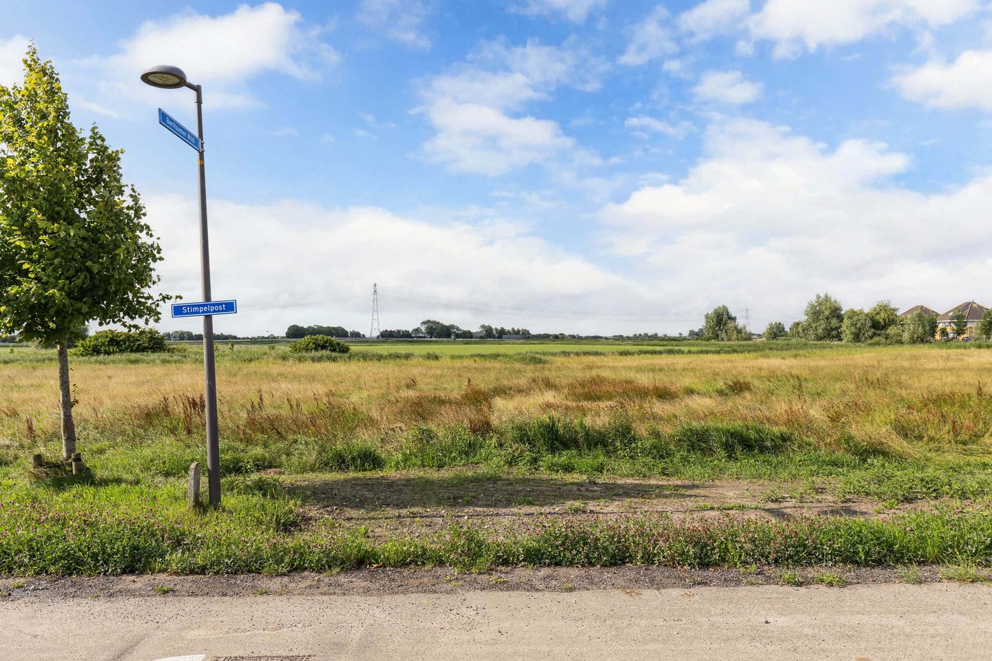 Foto 5 van Berltsumer Wiid 3