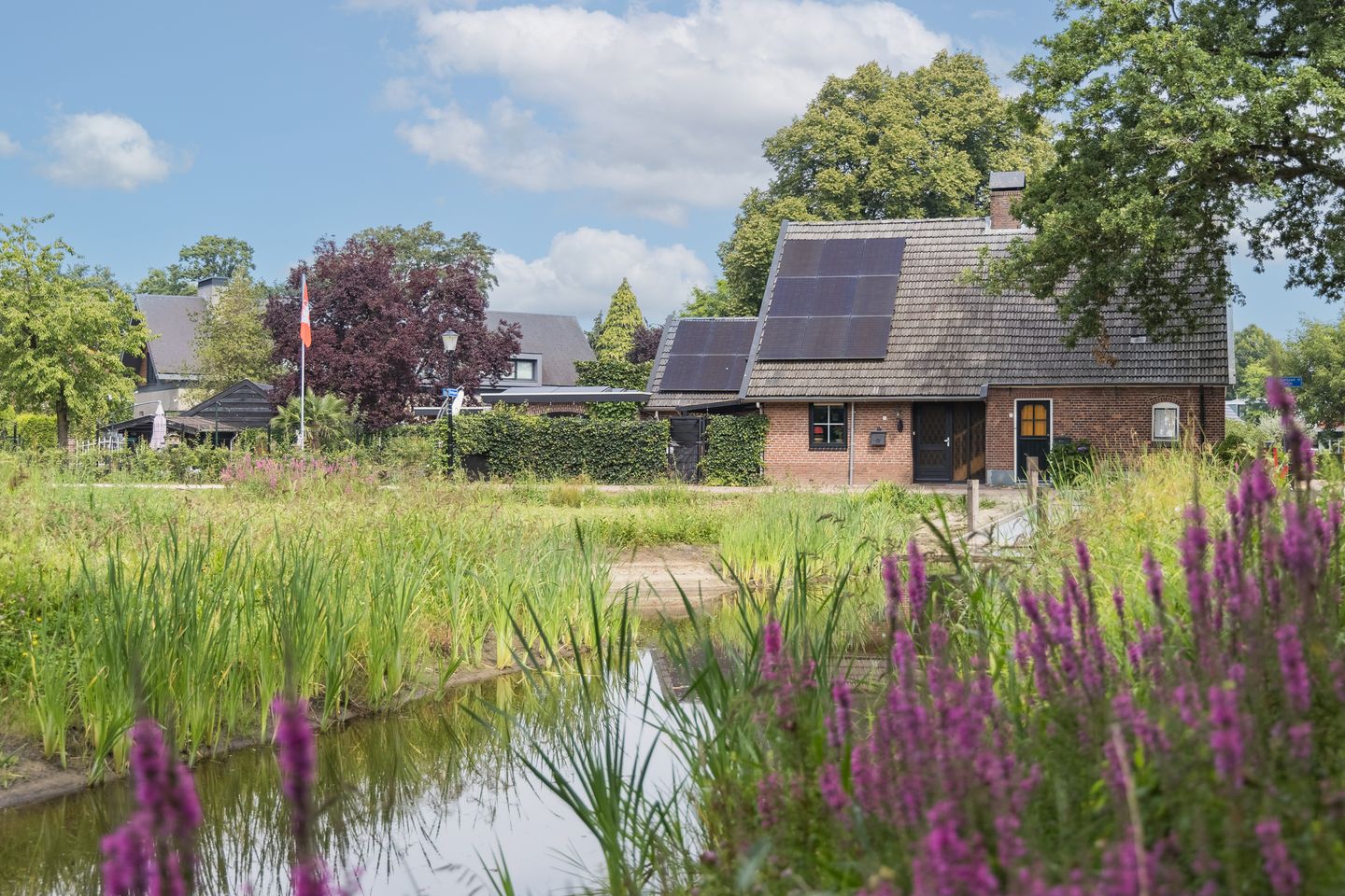 Foto 5 van Paasdijk 1