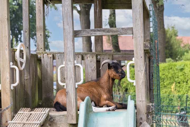 Foto 42 van Paasdijk 1