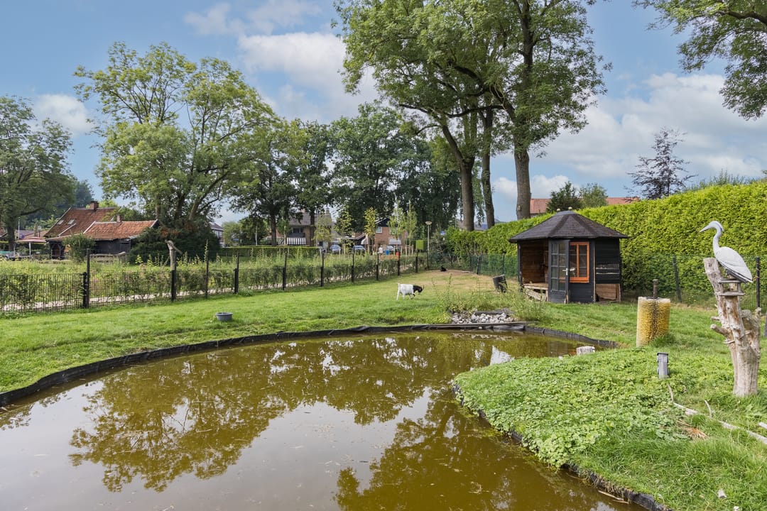 Foto 43 van Paasdijk 1