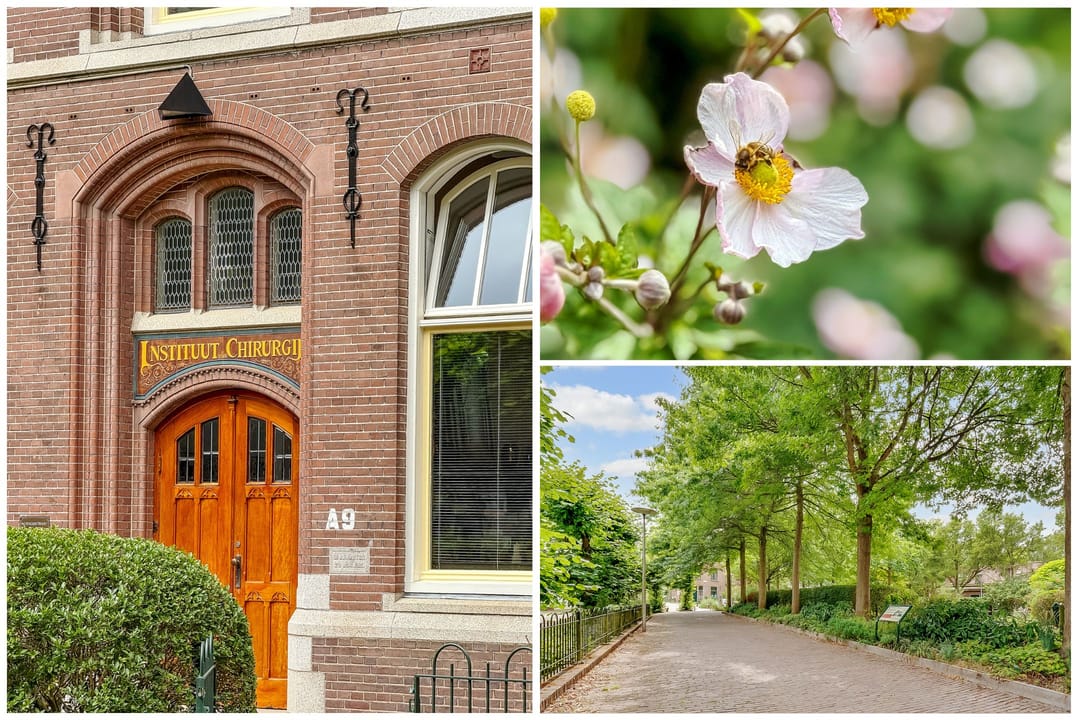 Photo 43 of Gildstraat 173