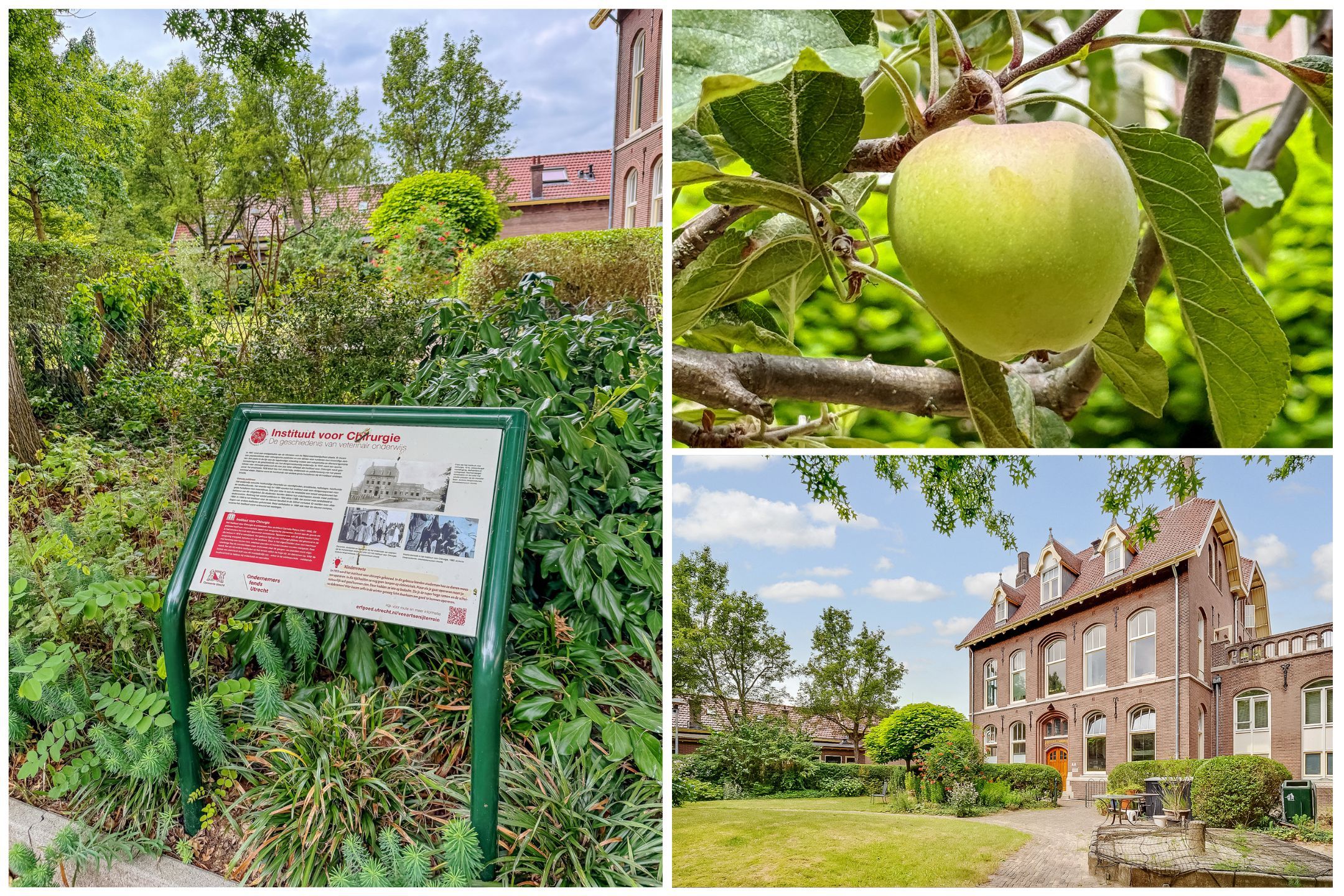 Photo 45 of Gildstraat 173