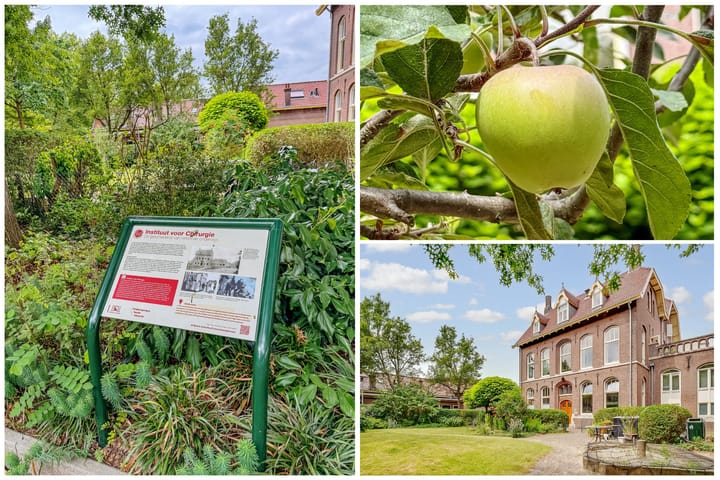 Foto 45 van Gildstraat 173