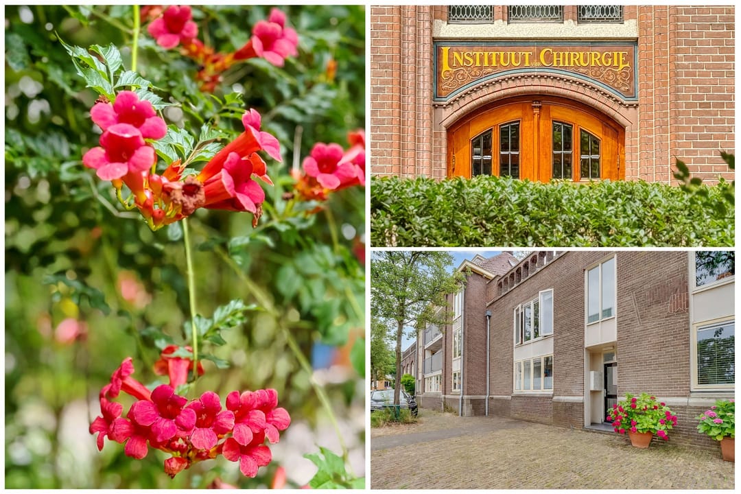 Photo 47 of Gildstraat 173