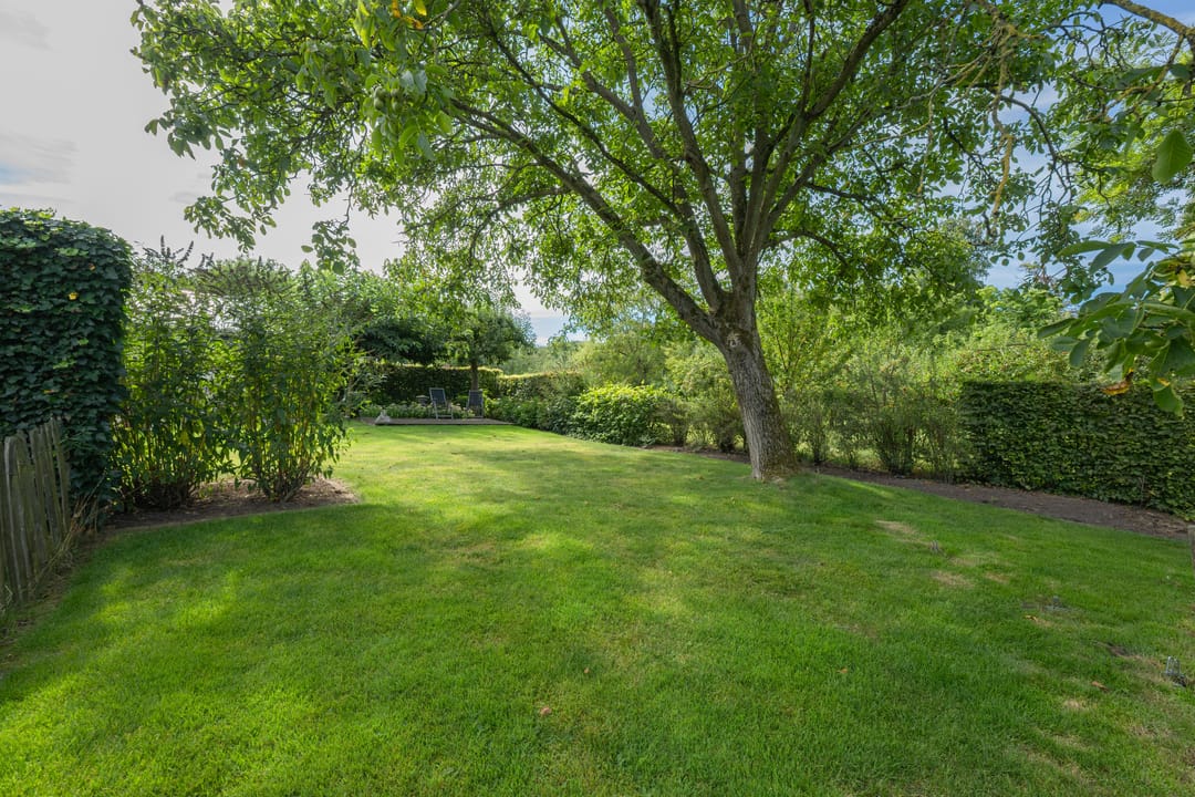 Foto 46 van Jeudestraat 55