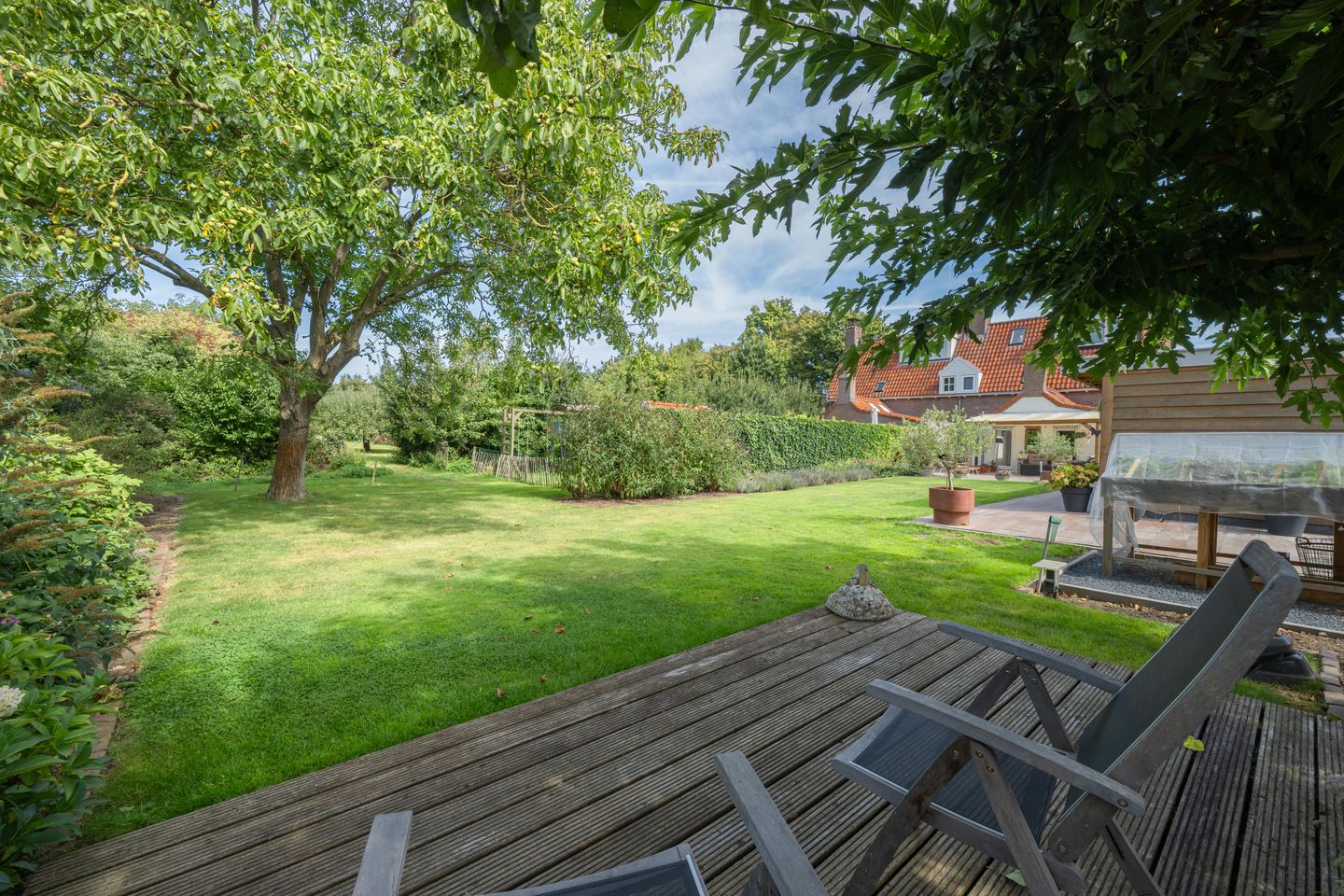 Foto 50 van Jeudestraat 55