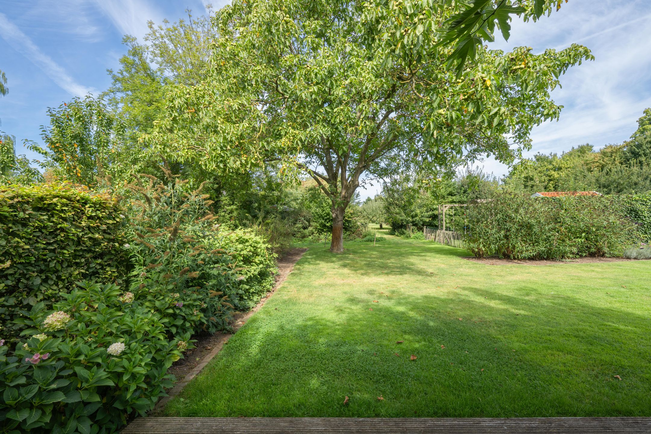 Foto 51 van Jeudestraat 55