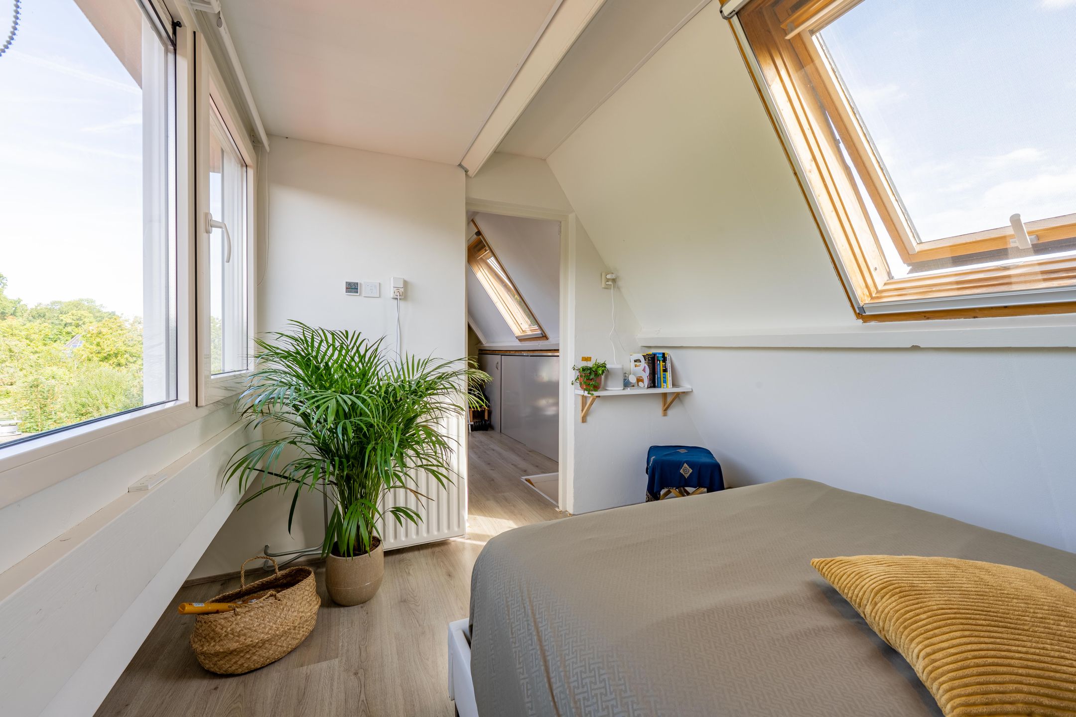 Foto 63 van Jeudestraat 55