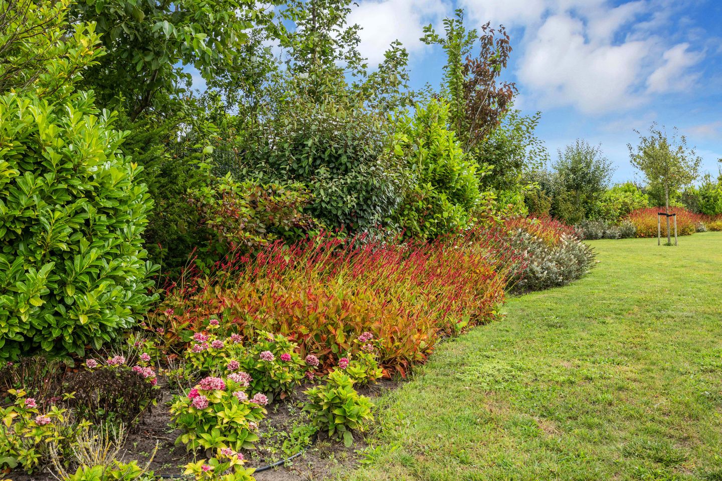 Foto 74 van Boomweg 13-C