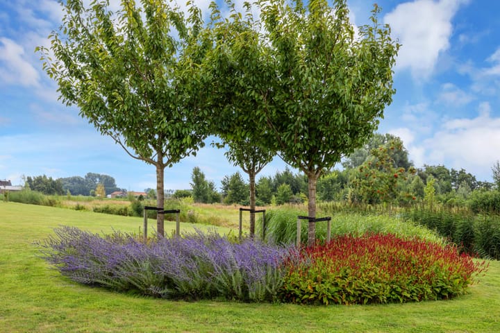 Foto 75 van Boomweg 13-C