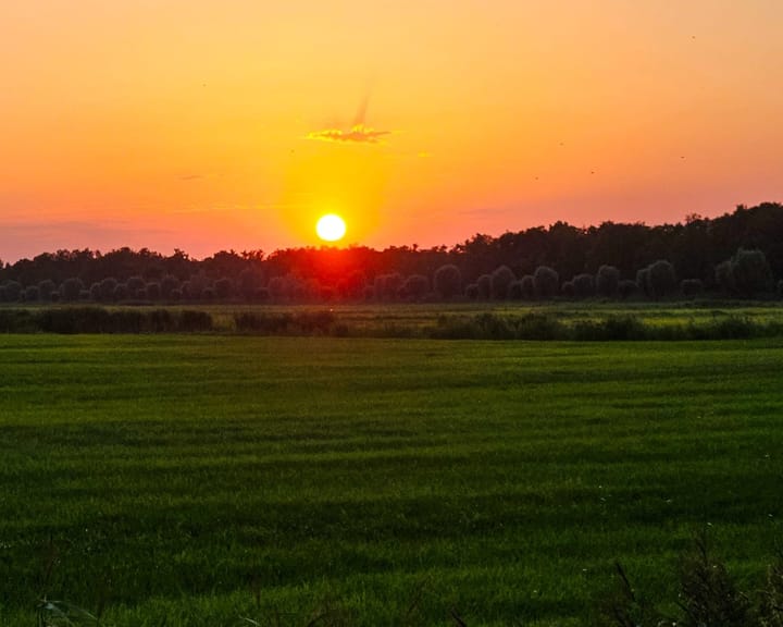 Foto 3 van Achterwei 50