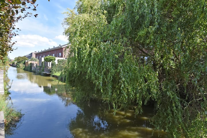 Foto 38 van Juttepeer 35