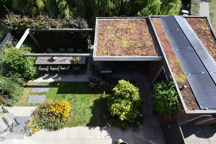 Foto 66 van Juttepeer 35