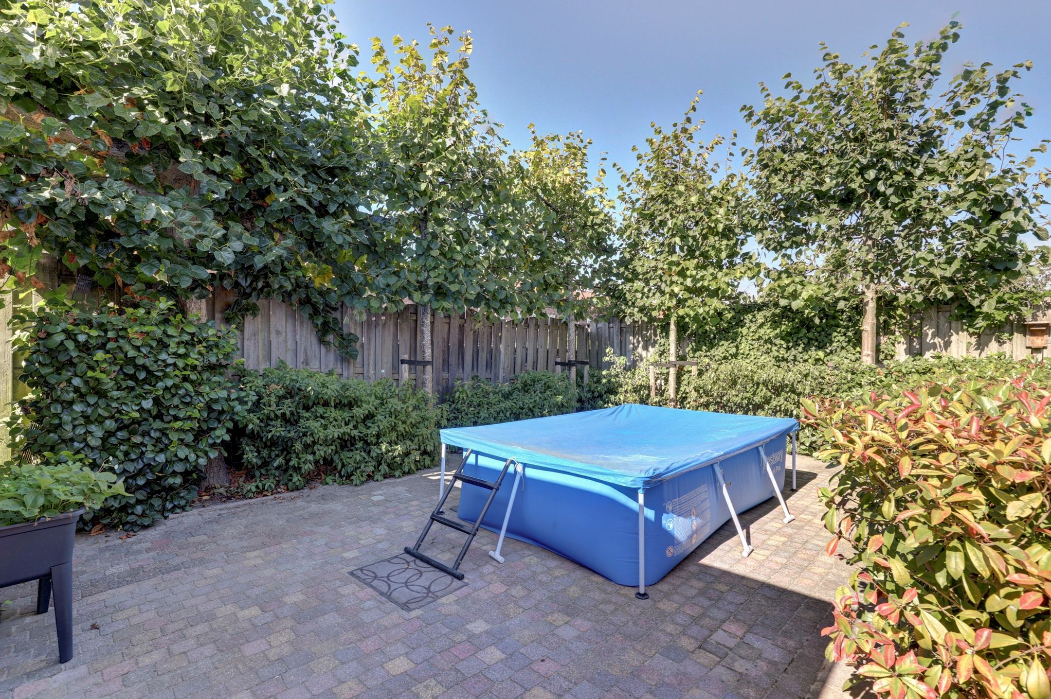 Foto 39 van Dr. Mollerstraat 9