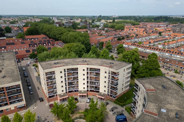 Foto 2 van Plantage 166