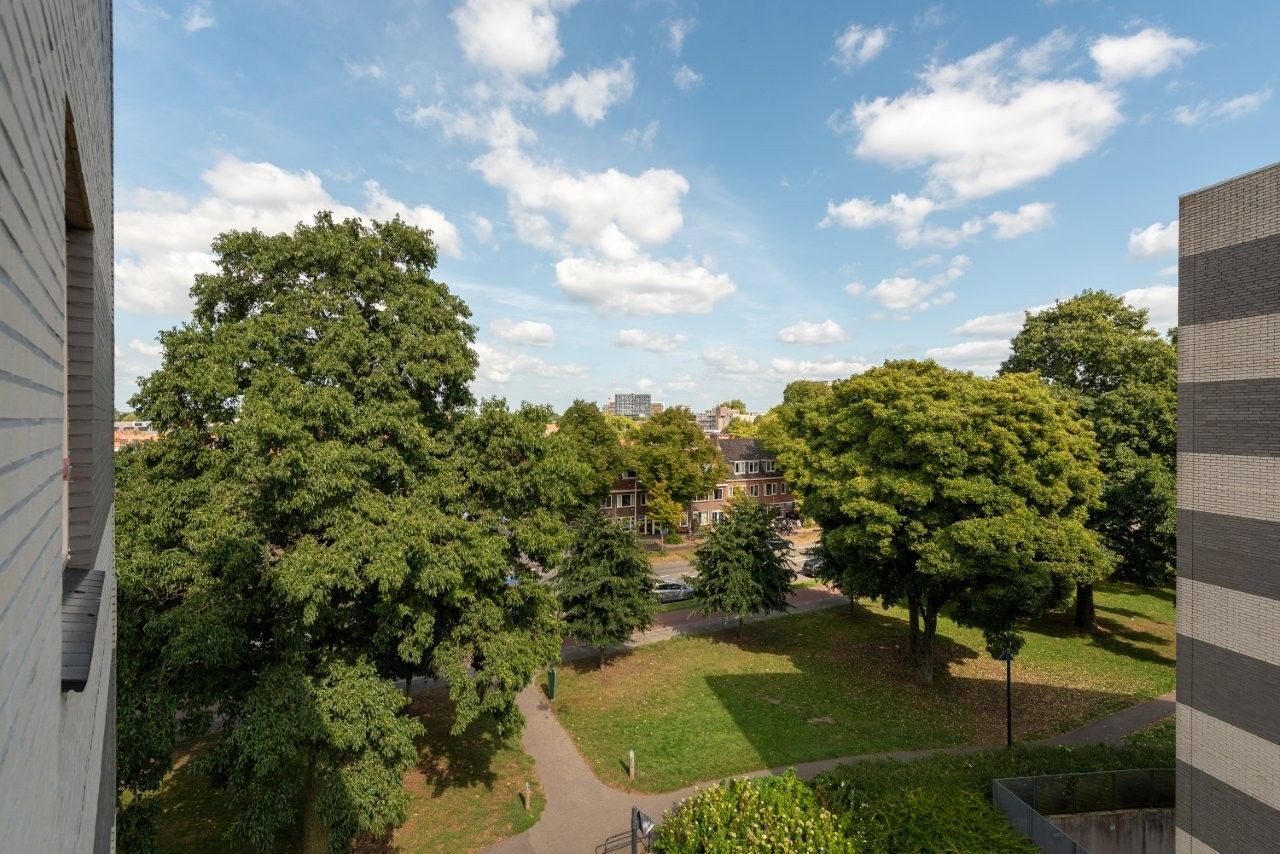 Foto 14 van Plantage 166