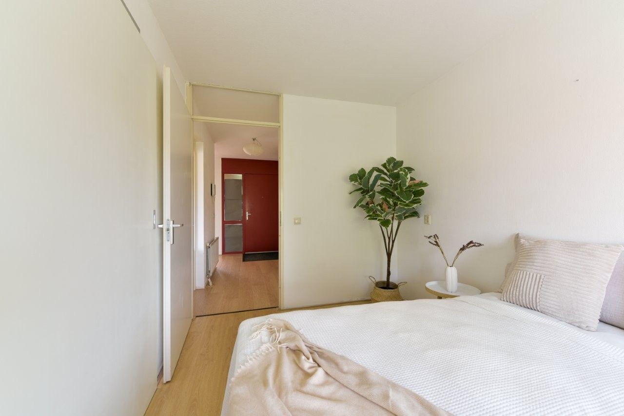 Foto 19 van Plantage 166