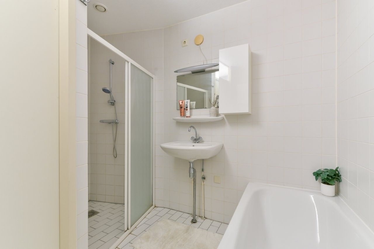 Foto 20 van Plantage 166