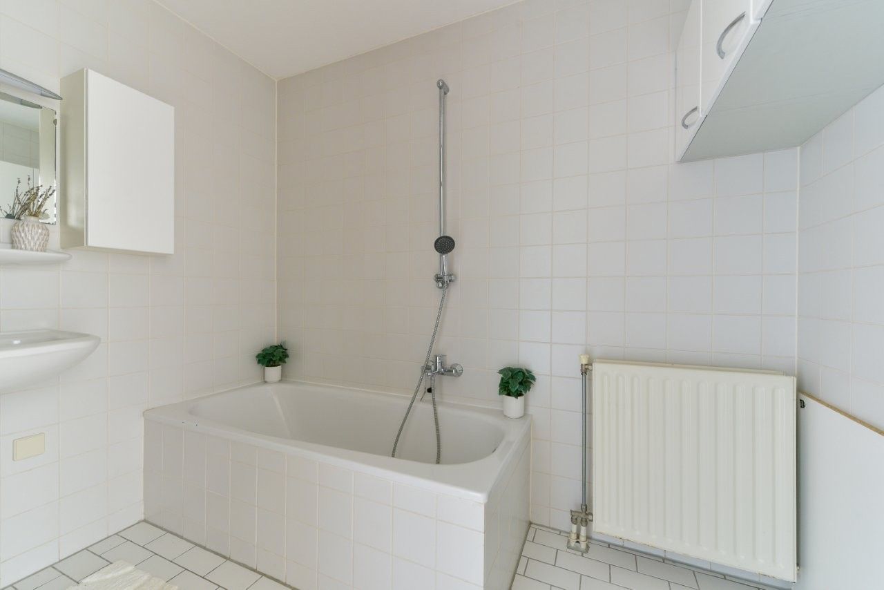 Foto 21 van Plantage 166