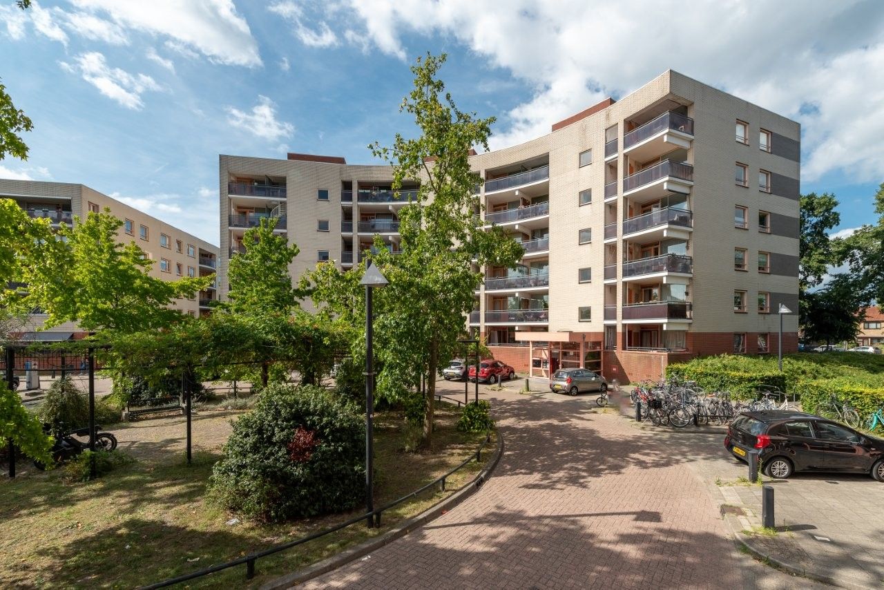 Foto 30 van Plantage 166