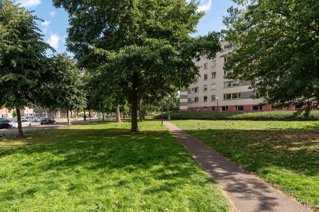 Foto 31 van Plantage 166