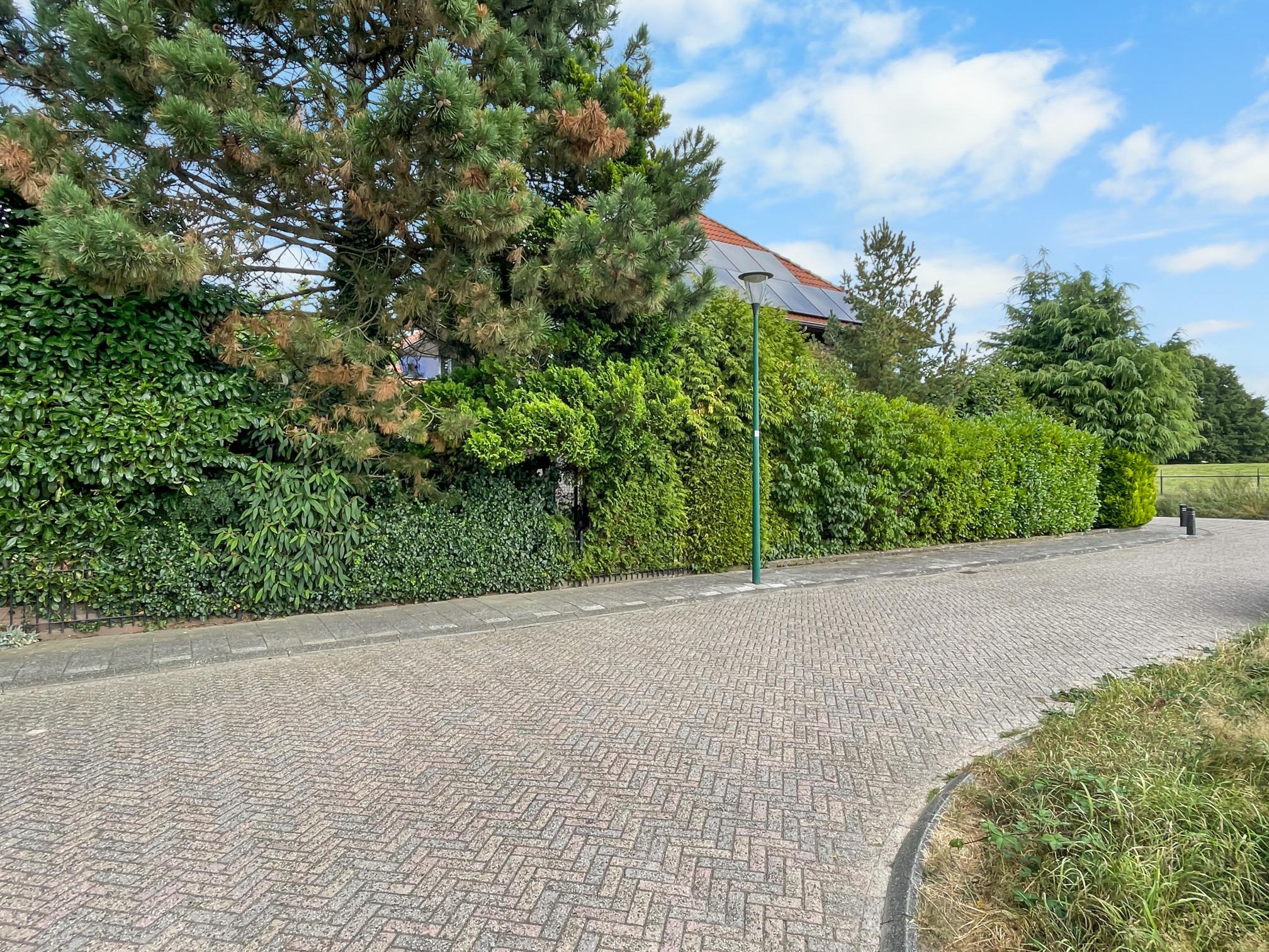 Photo 36 of Chalonhof 173