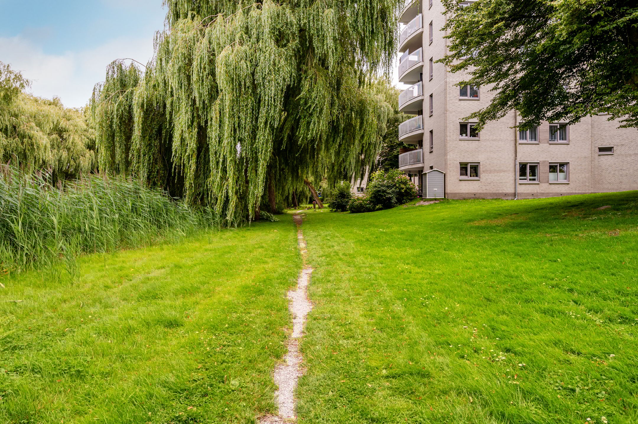 Photo 33 of Watercipresstraat 68