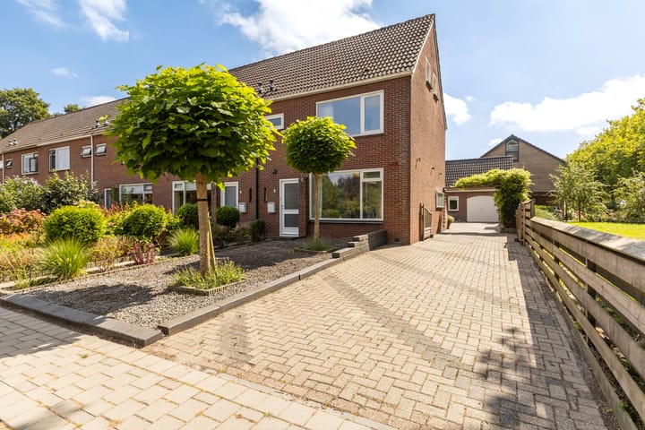 Photo 6 of Sixmastins 2