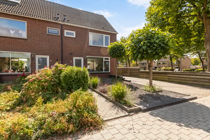 Photo 7 of Sixmastins 2