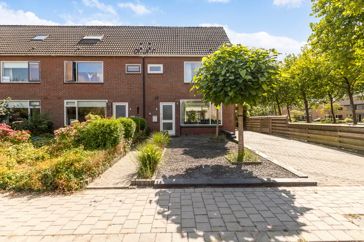 Photo 8 of Sixmastins 2