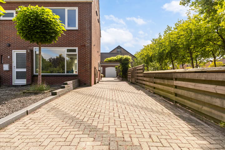 Photo 9 of Sixmastins 2