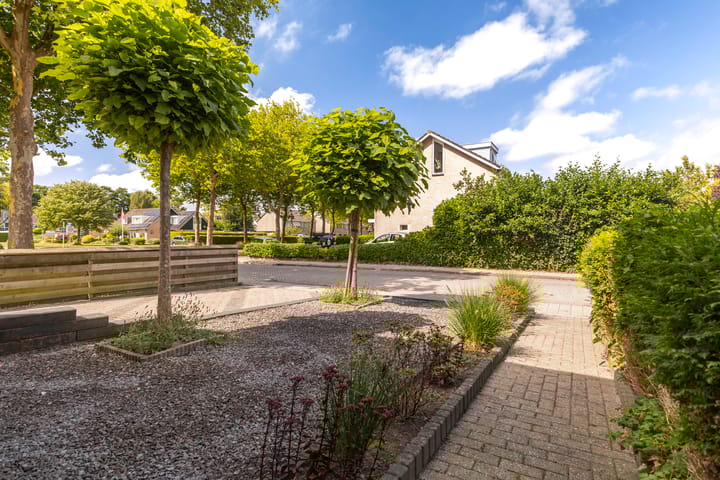 Photo 10 of Sixmastins 2