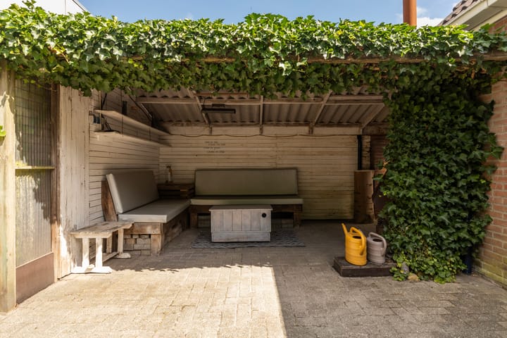 Photo 12 of Sixmastins 2