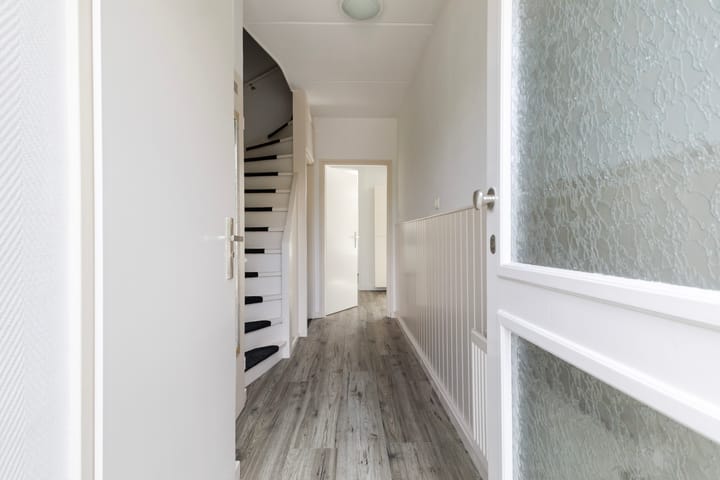 Photo 24 of Sixmastins 2