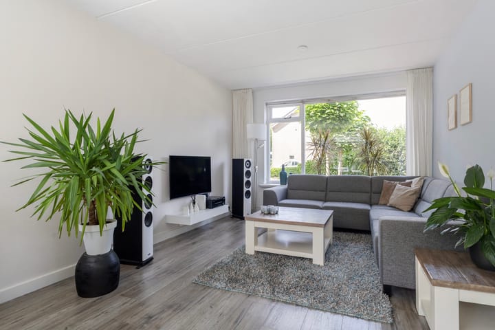 Photo 26 of Sixmastins 2