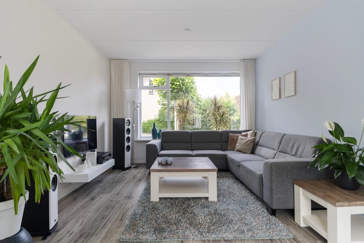 Photo 28 of Sixmastins 2