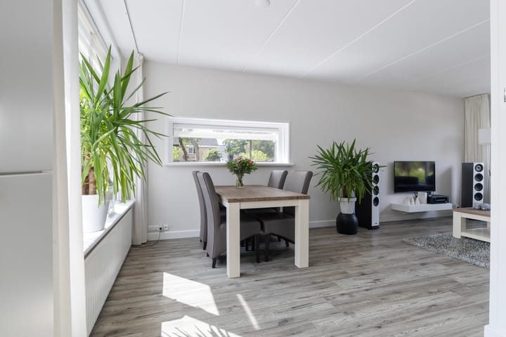 Photo 30 of Sixmastins 2