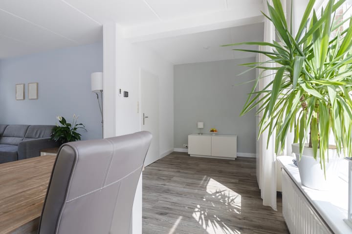 Photo 31 of Sixmastins 2