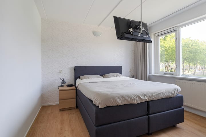 Photo 40 of Sixmastins 2