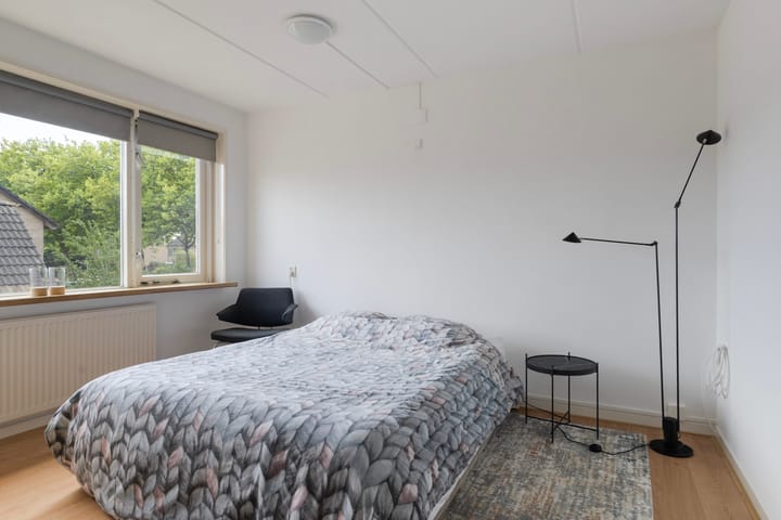 Photo 44 of Sixmastins 2