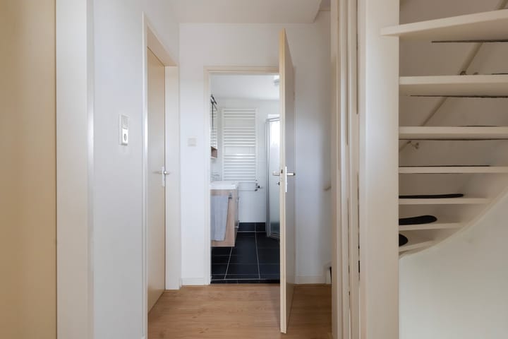 Photo 48 of Sixmastins 2