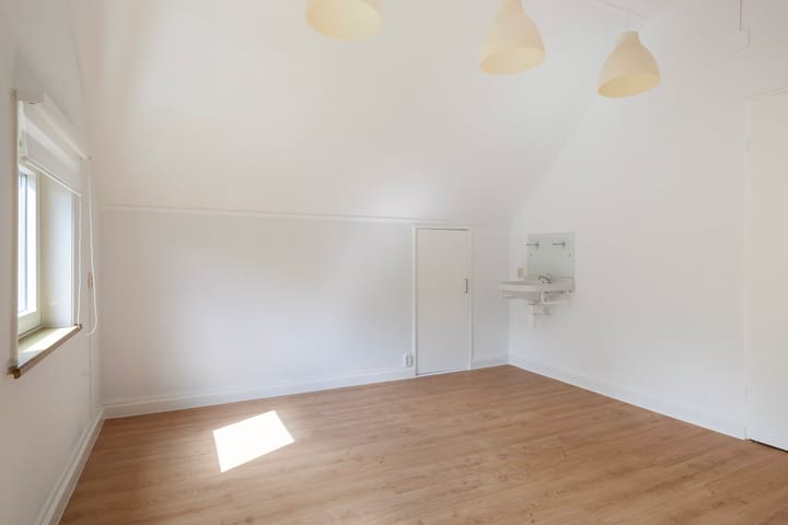 Photo 50 of Sixmastins 2