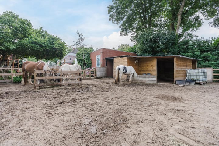 Photo 40 of Oosterdiep WZ 36