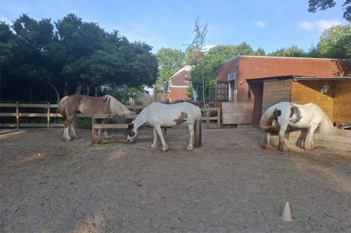 Photo 48 of Oosterdiep WZ 36